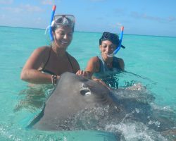 In the reef outside Opunahu Bay, in shallow water, we swam with the sharks and manta rays. The rays crawled all over us, and ate fish from our hands. Opunahu Koyu disindaki resifte sig suda kopekbaliklari ve manta ray'lerle yuzduk. Mantalar bize sarildi, ellerimizden balik yedi.