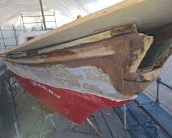 The bow will be reinforced with plywood and fiberglass